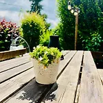 Holiday home La Balade En Foret - 9 Personnes En Ardenne *
