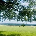 La Balade En Foret - 9 Personnes En Ardenne