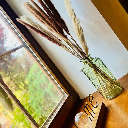 La Balade En Foret - 9 Personnes En Ardenne * Tenneville