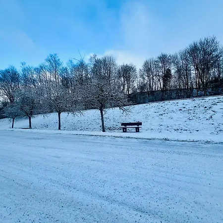 La Balade En Foret - 9 Personnes En Ardenne * Tenneville