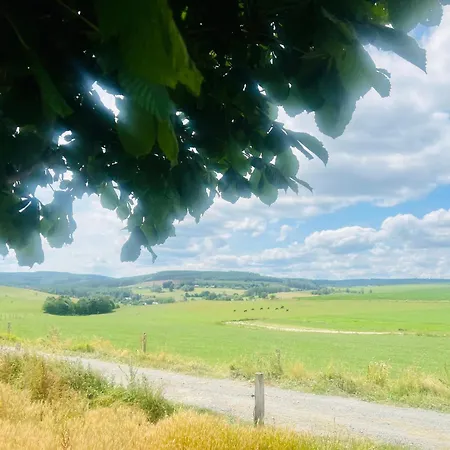 La Balade En Foret - 9 Personnes En Ardenne 特纳维耶