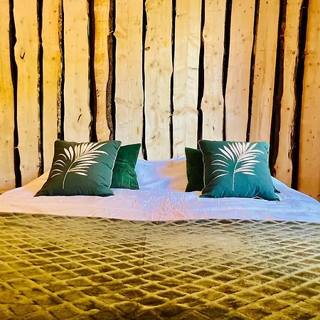 La Balade En Foret - 9 Personnes En Ardenne Feriehus Tenneville