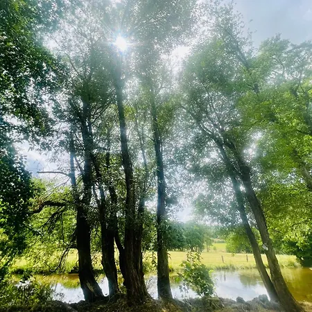 Feriehus La Balade En Foret - 9 Personnes En Ardenne Tenneville
