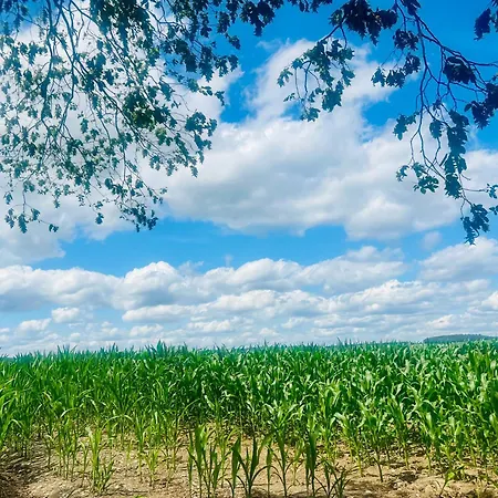 La Balade En Foret - 9 Personnes En Ardenne 度假居 特纳维耶