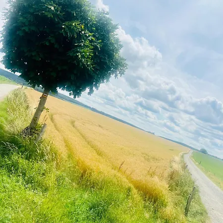 La Balade En Foret - 9 Personnes En Ardenne *
