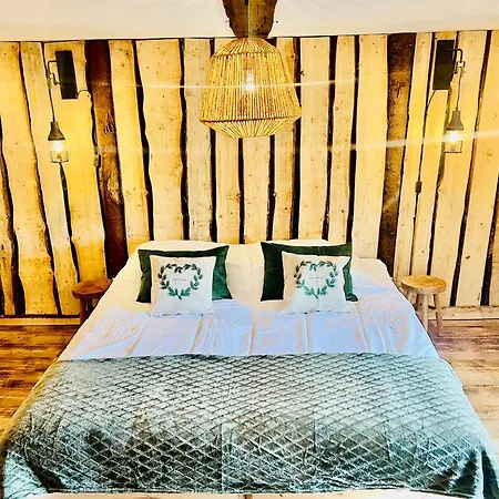 La Balade En Foret - 9 Personnes En Ardenne *