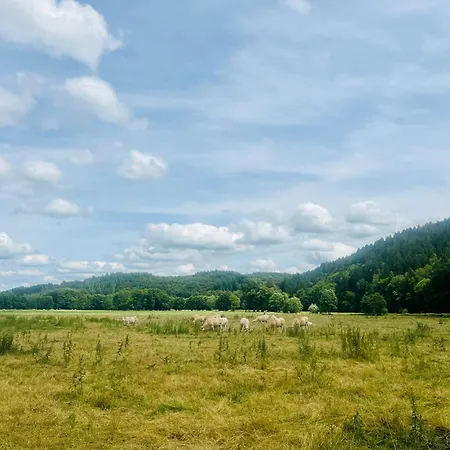 Feriehus La Balade En Foret - 9 Personnes En Ardenne Tenneville
