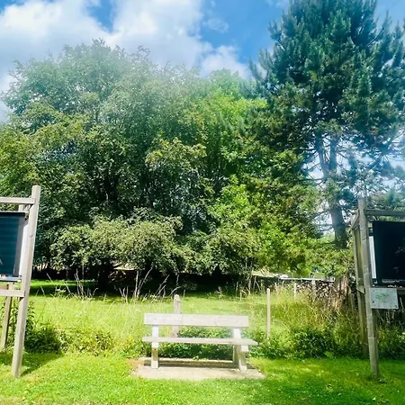 La Balade En Foret - 9 Personnes En Ardenne