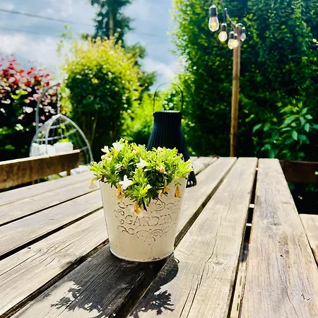 Holiday home La Balade En Foret - 9 Personnes En Ardenne *