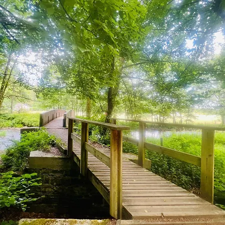 La Balade En Foret - 9 Personnes En Ardenne Tenneville