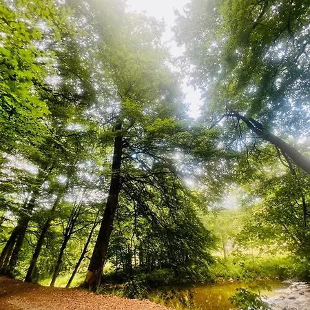 La Balade En Foret - 9 Personnes En Ardenne Casa vacanze *