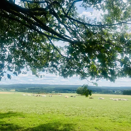 La Balade En Foret - 9 Personnes En Ardenne