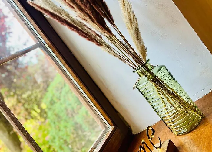 La Balade En Foret - 9 Personnes En Ardenne * Tenneville