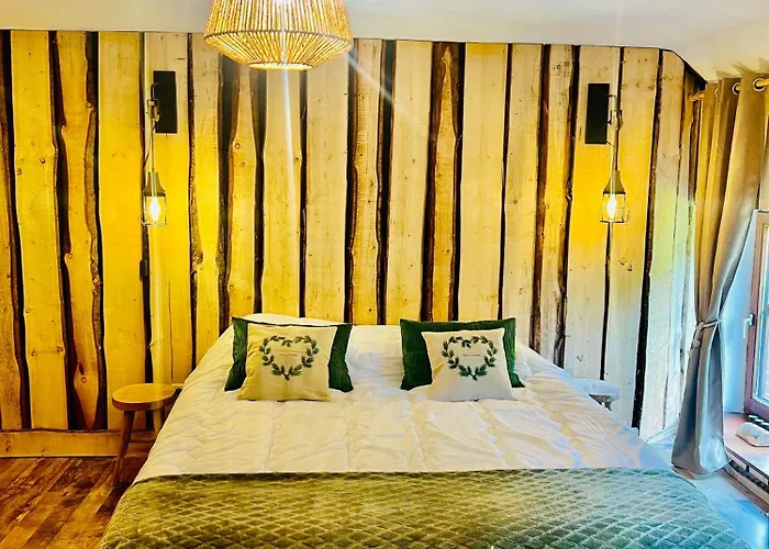 La Balade En Foret - 9 Personnes En Ardenne Feriehus *