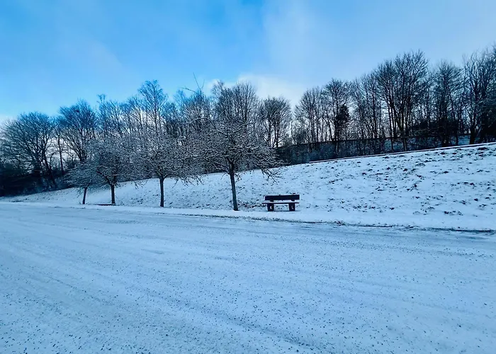 La Balade En Foret - 9 Personnes En Ardenne * Tenneville