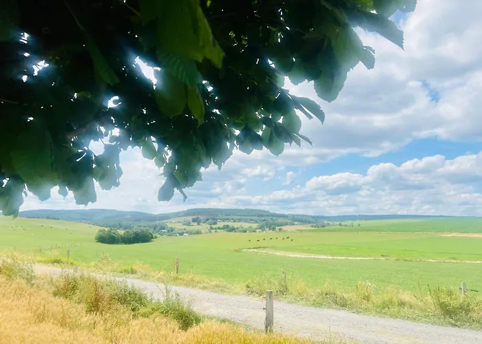 La Balade En Foret - 9 Personnes En Ardenne Tenneville