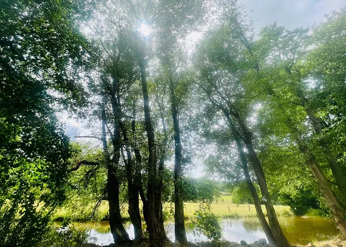 度假居 La Balade En Foret - 9 Personnes En Ardenne 特纳维耶