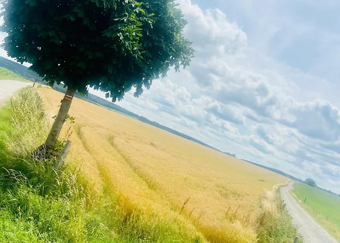 La Balade En Foret - 9 Personnes En Ardenne *