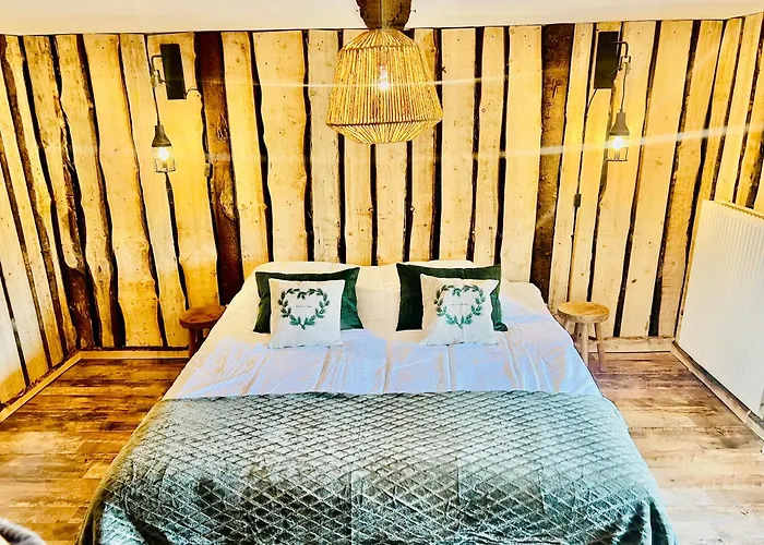 La Balade En Foret - 9 Personnes En Ardenne *