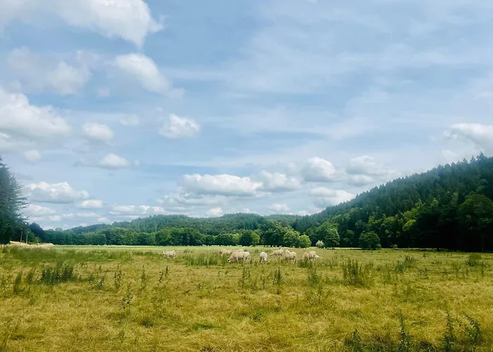 度假居 La Balade En Foret - 9 Personnes En Ardenne 特纳维耶