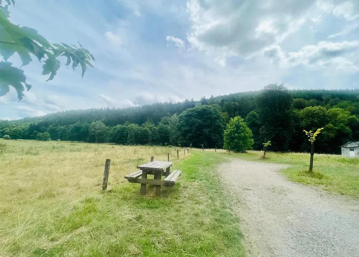 度假居 La Balade En Foret - 9 Personnes En Ardenne