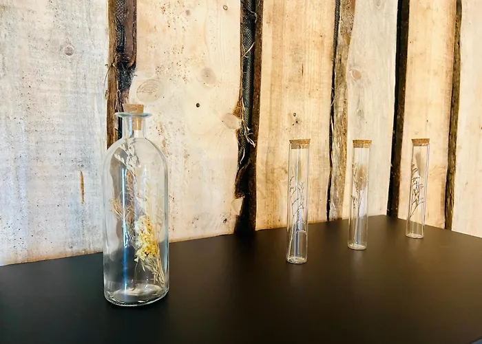 La Balade En Foret - 9 Personnes En Ardenne Feriehus Tenneville