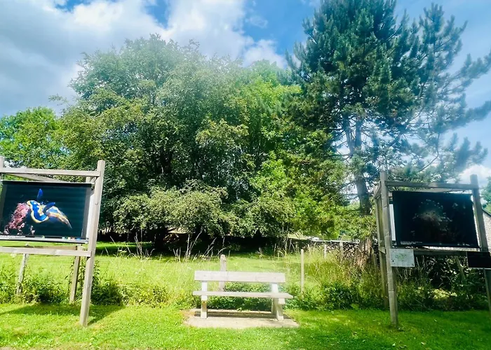 La Balade En Foret - 9 Personnes En Ardenne