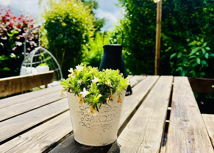 Feriehus La Balade En Foret - 9 Personnes En Ardenne *