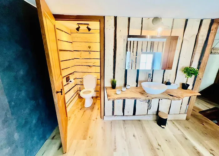 La Balade En Foret - 9 Personnes En Ardenne Feriehus Tenneville