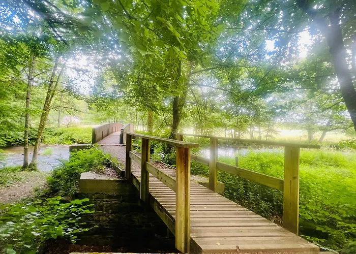 La Balade En Foret - 9 Personnes En Ardenne 特纳维耶