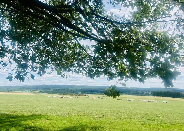 La Balade En Foret - 9 Personnes En Ardenne